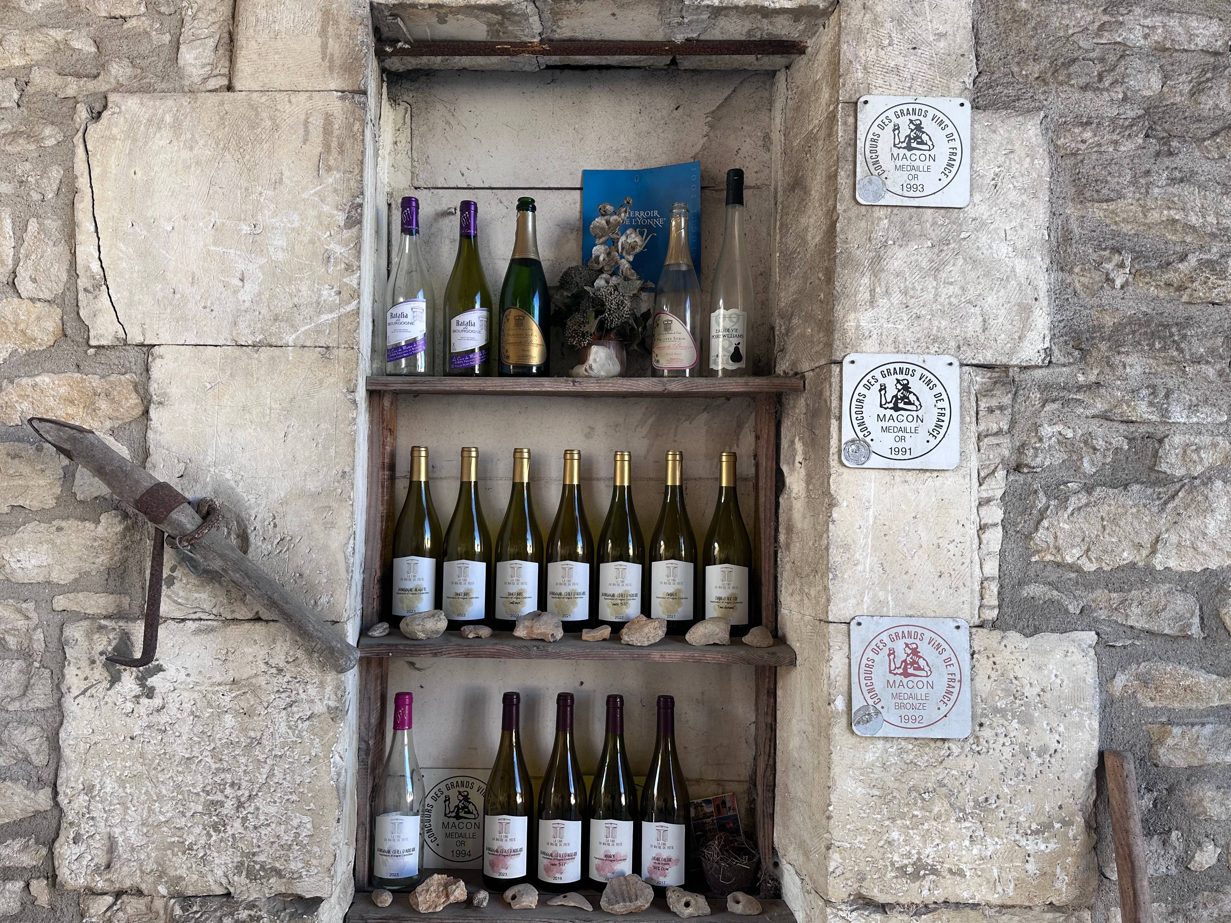 Wine tasting with charcuterie board