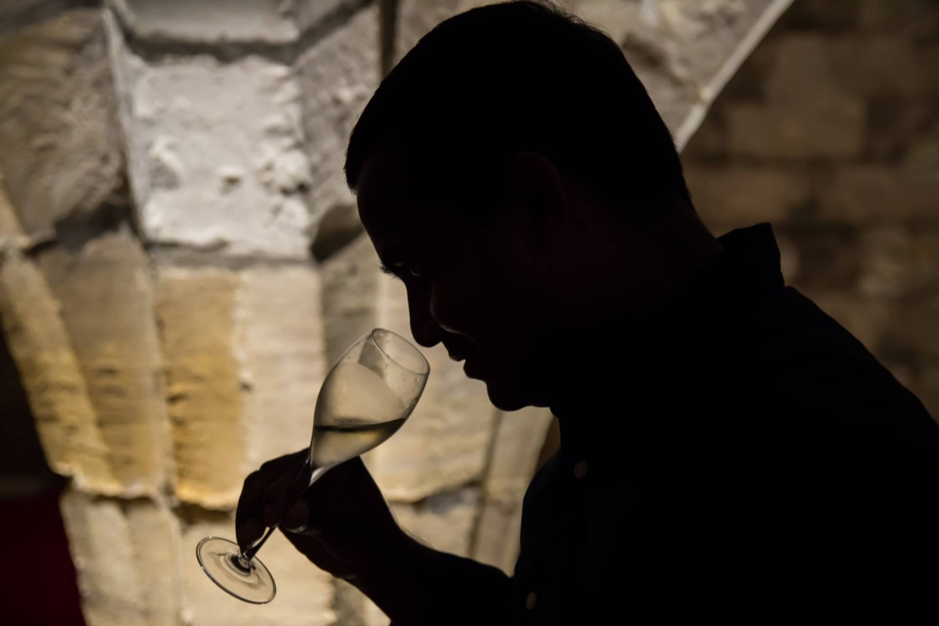 Tasting in the Medieval Cellars