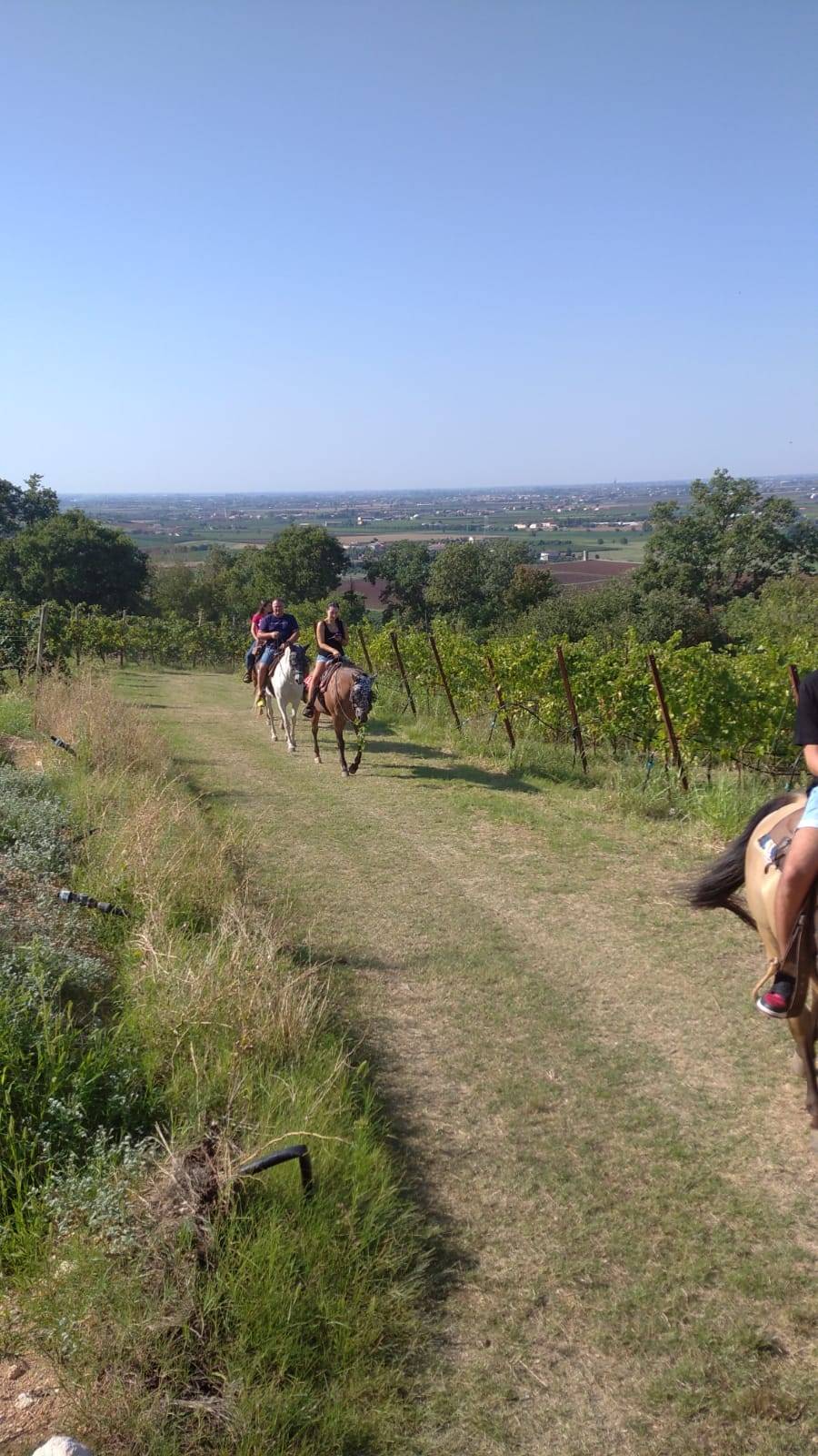 Horseback riding excursion in the hills with tasting