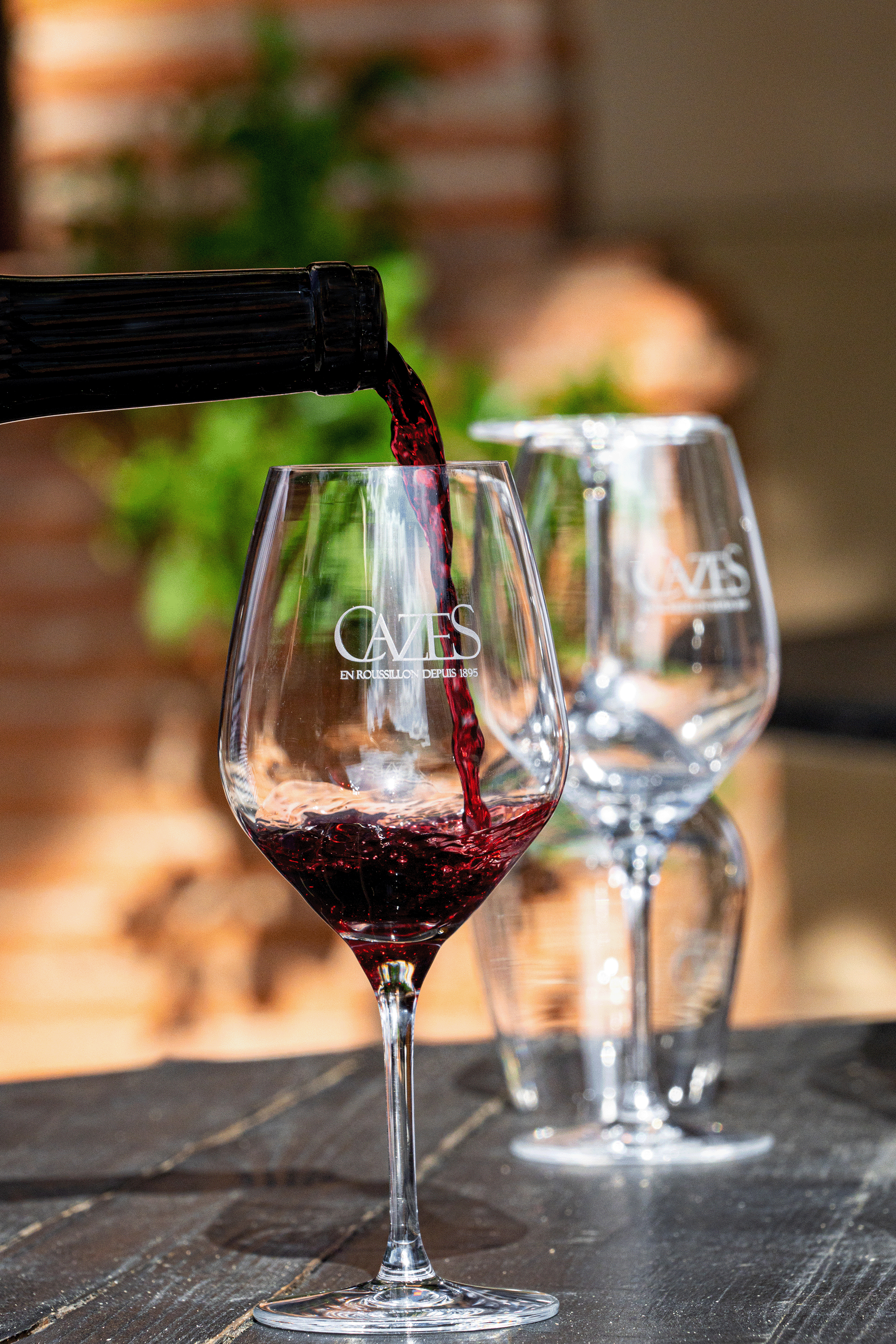 Guided tasting and visit of the historic cellar