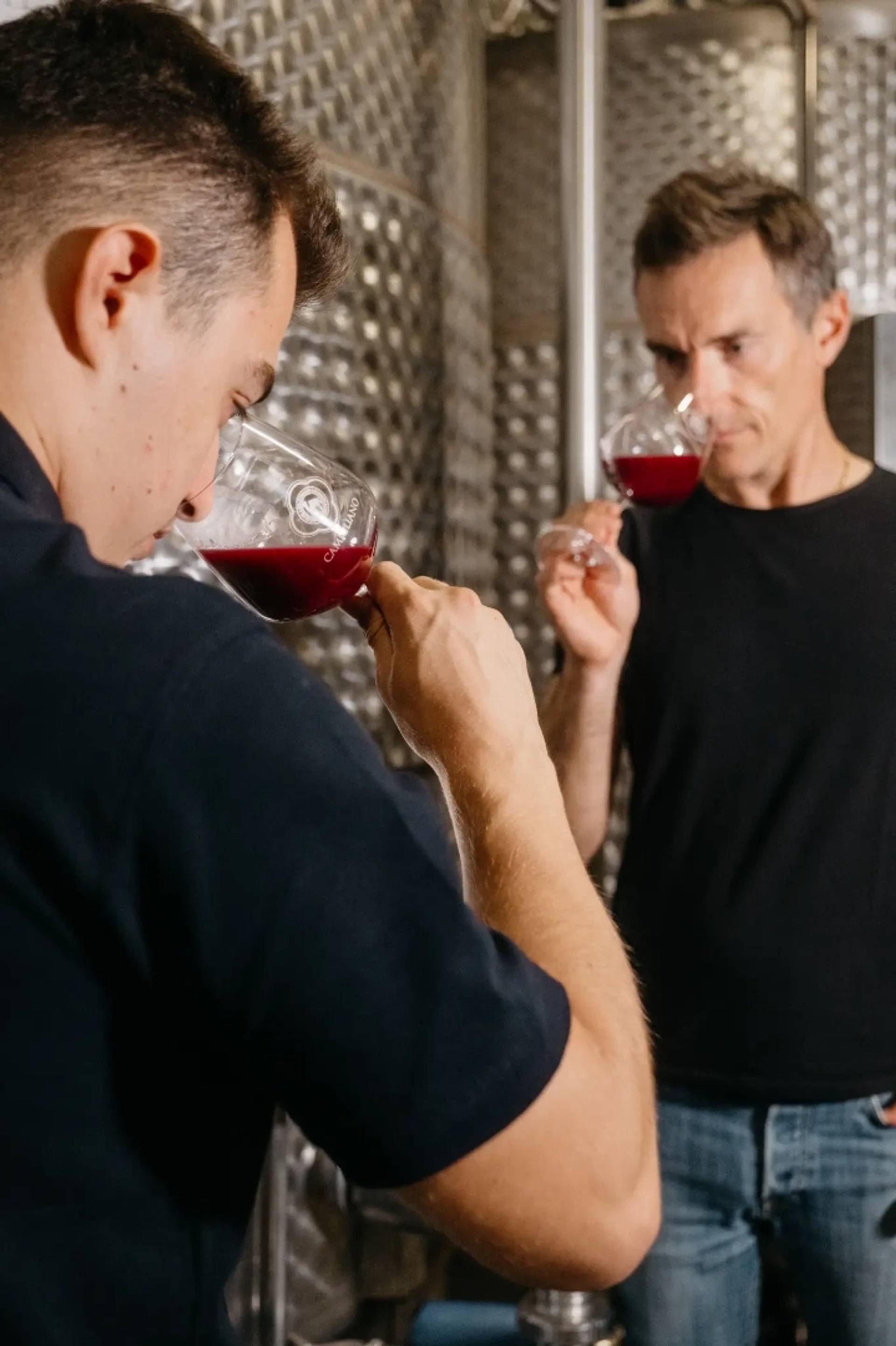 Tour with the Winemaker