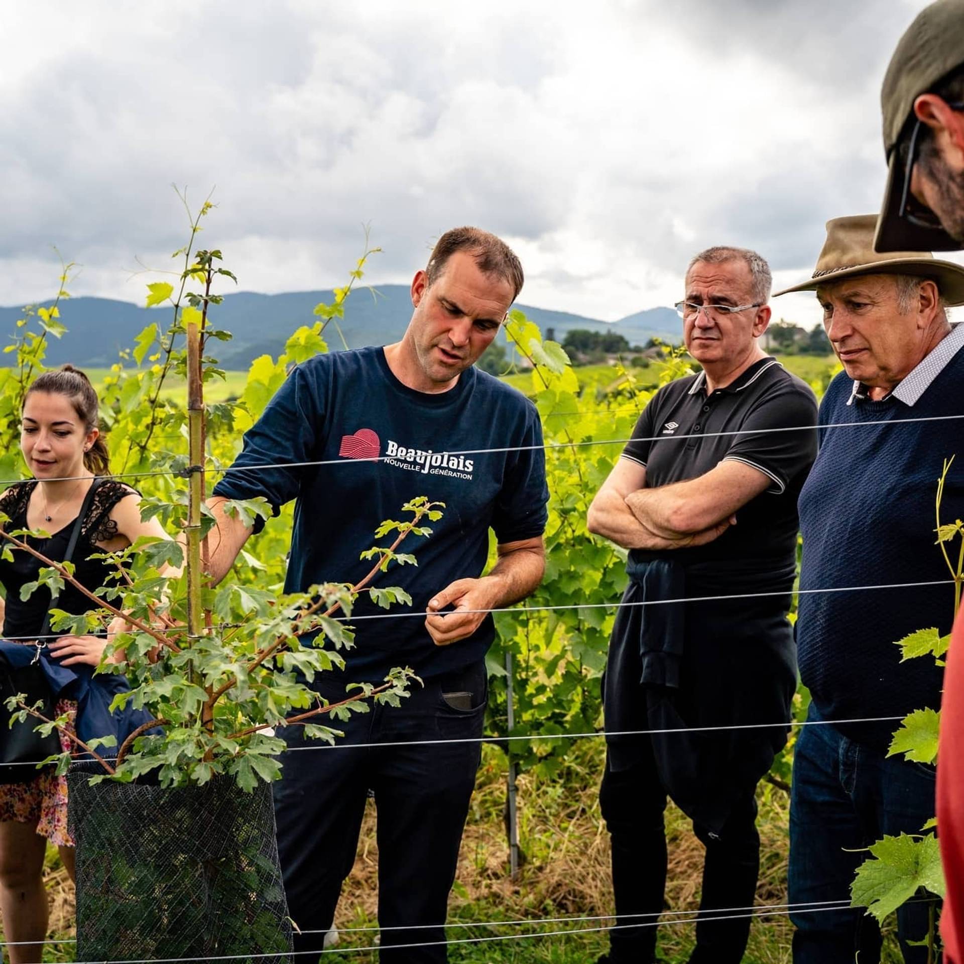 Walk, visit and tasting