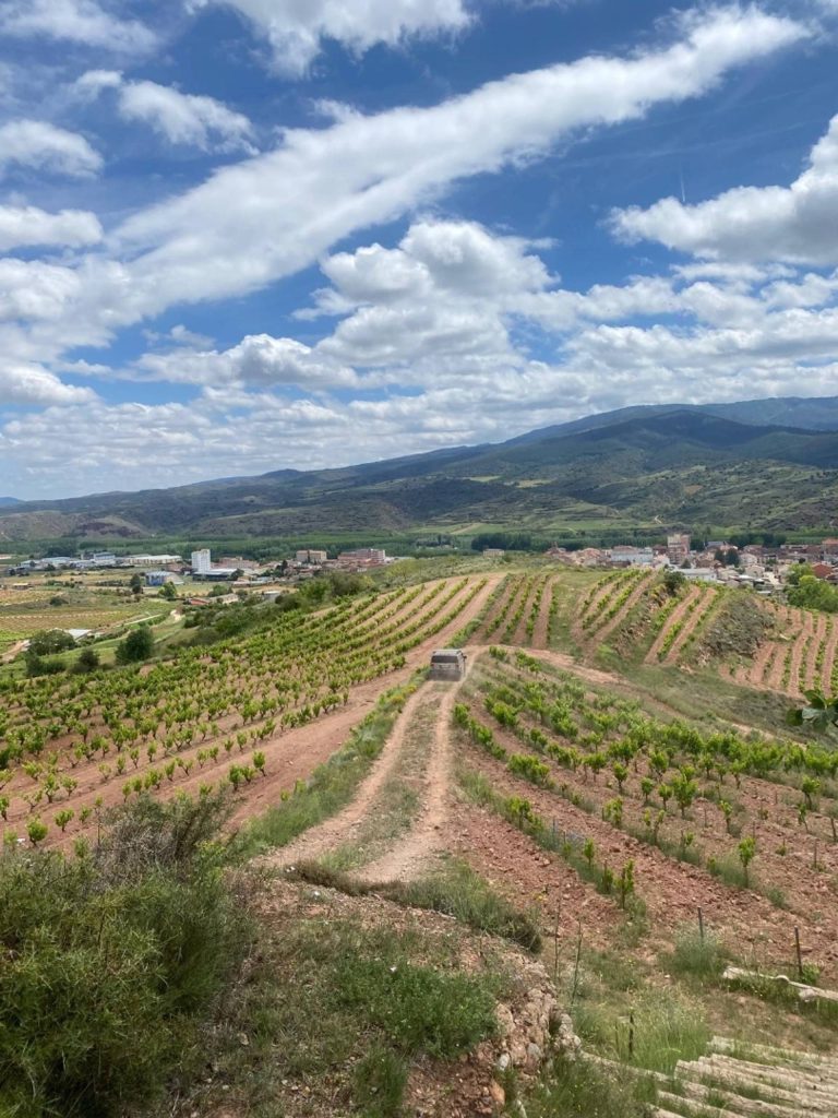 Ascent of Cerro de la Isa and tasting