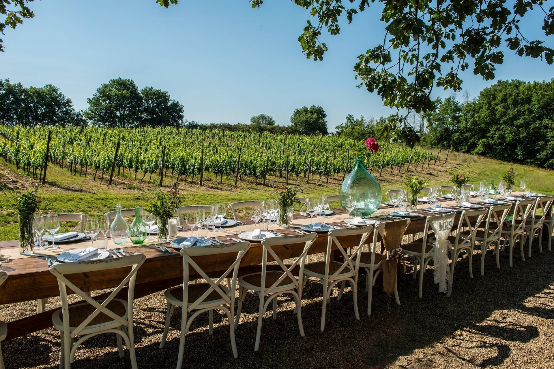 Theme Tasting with Lunch