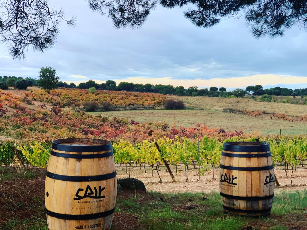 Tierras de Cair Experience