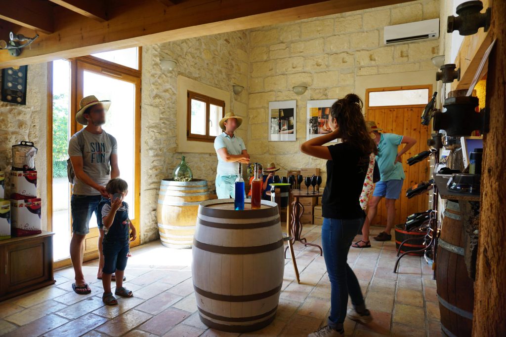 Jolly Wine: visit and tasting