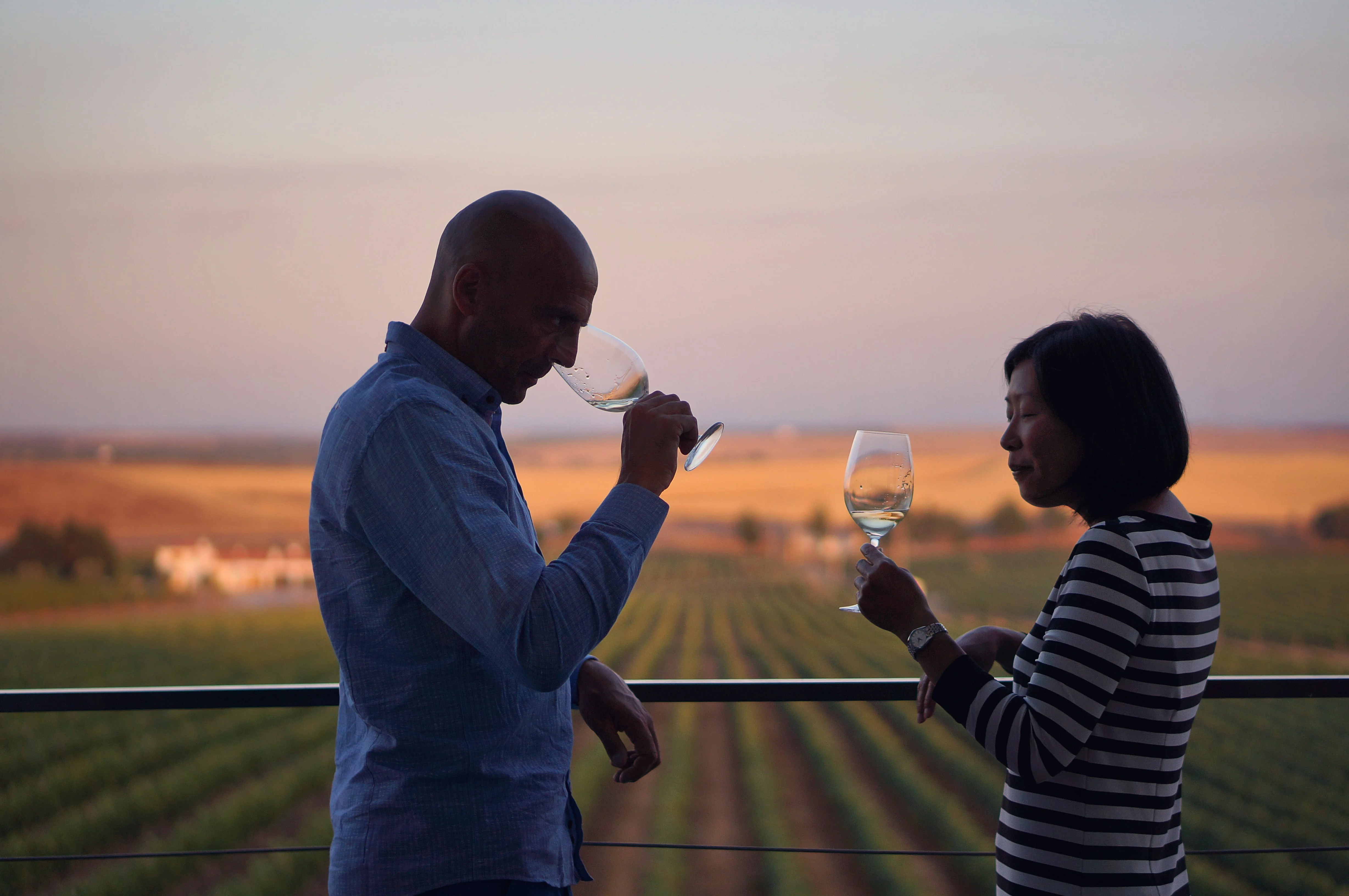 Ribafreixo Wines – Visita, Prova & Almoço