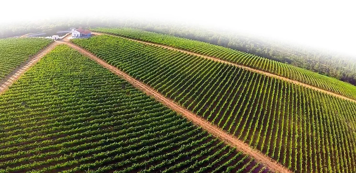 Herdade dos Templários – Visita & Prova de Vinhos