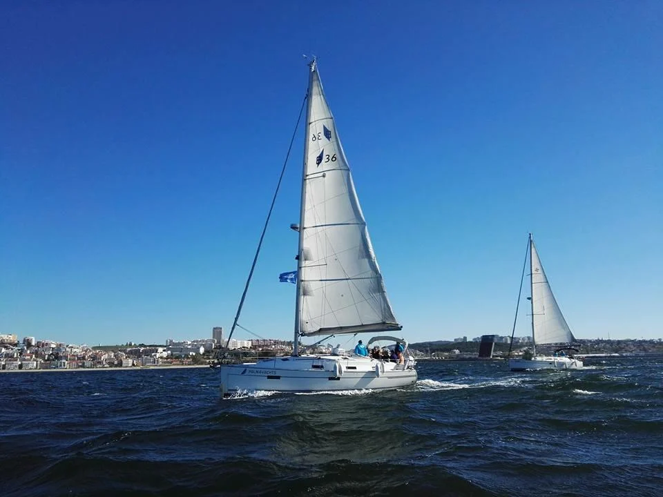 Wine Sailing Boat Tour