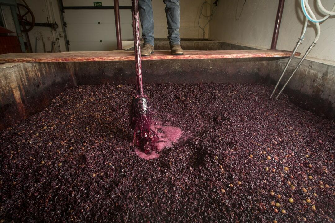 Quinta das Bágeiras – Visita & Prova de 5 Vinhos