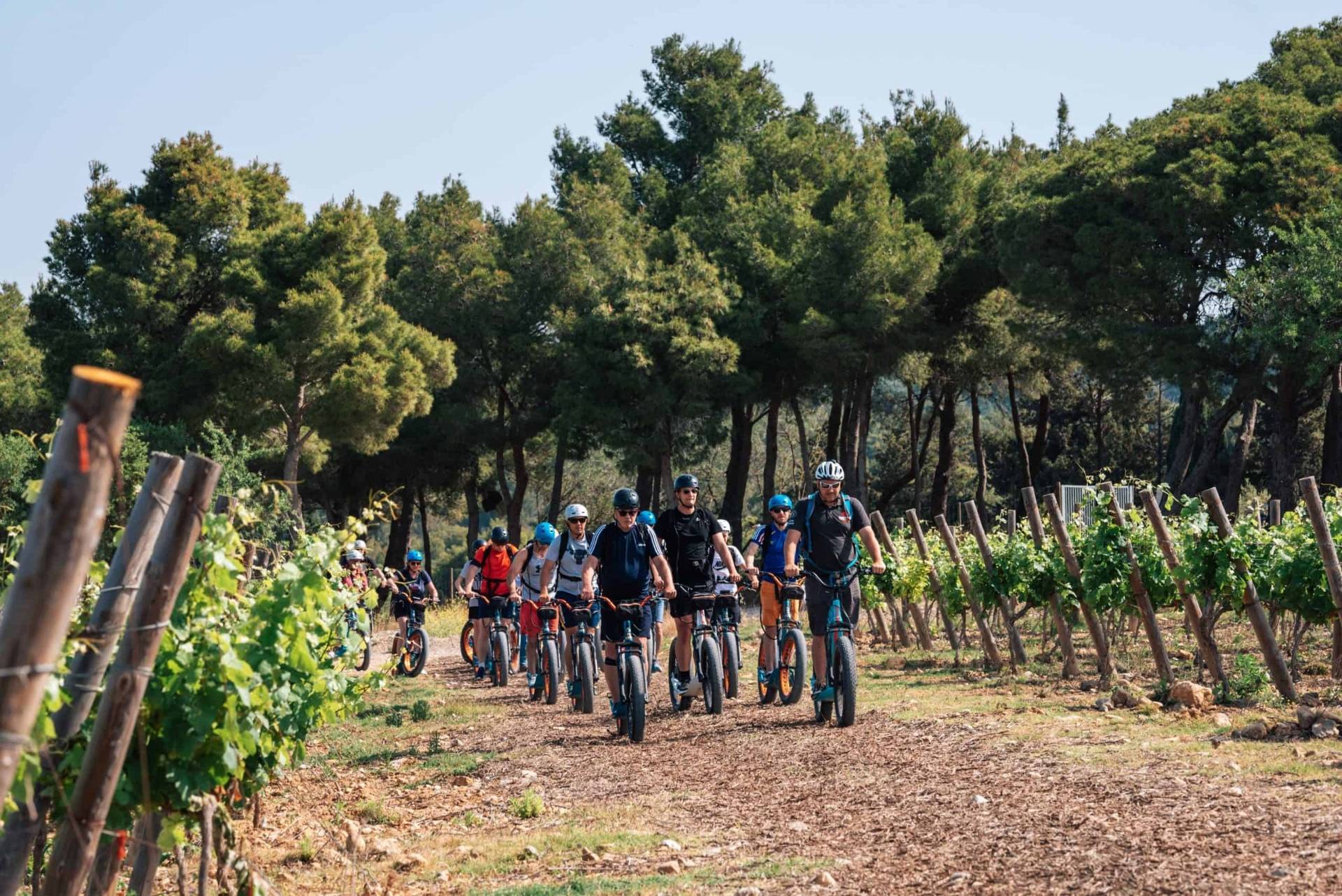Electric mountain bike tour through the vineyards