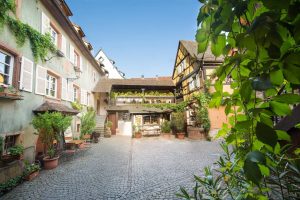 DOMAINE FRANCOIS BAUR