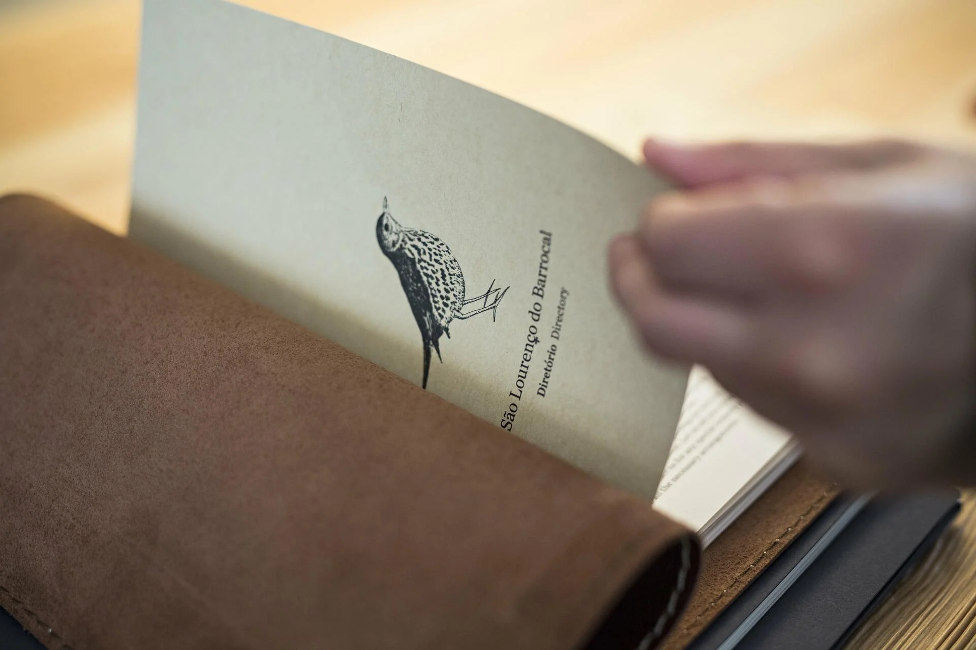 São Lourenço do Barrocal – Visita & Prova