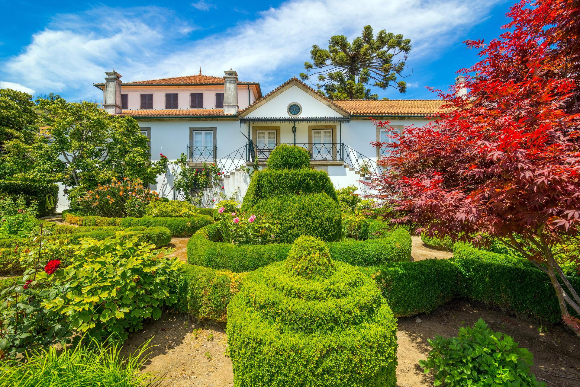 Quinta de Santa Júlia – Reencontro com o Passado