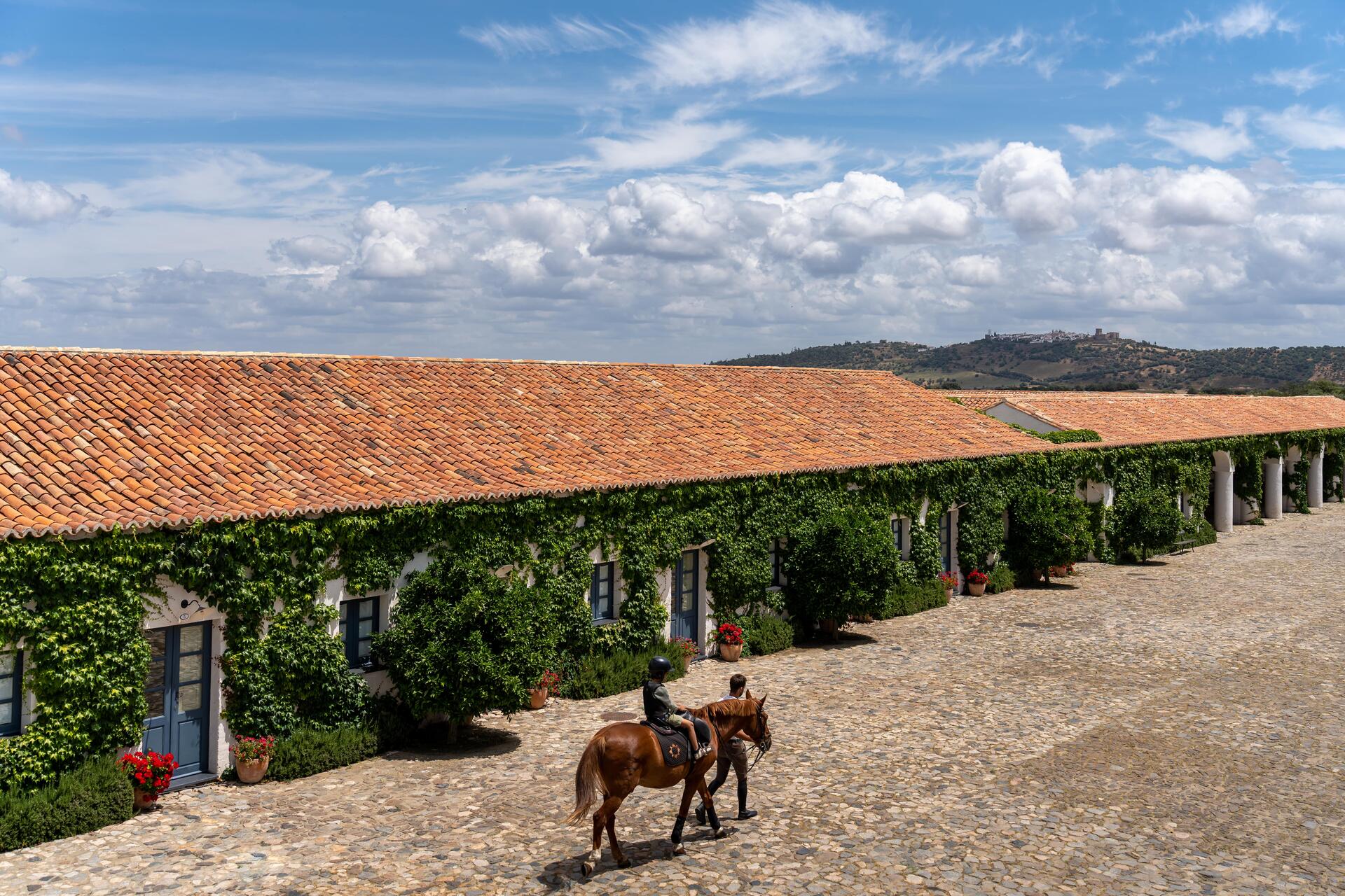 São Lourenço do Barrocal – Prova de Azeites