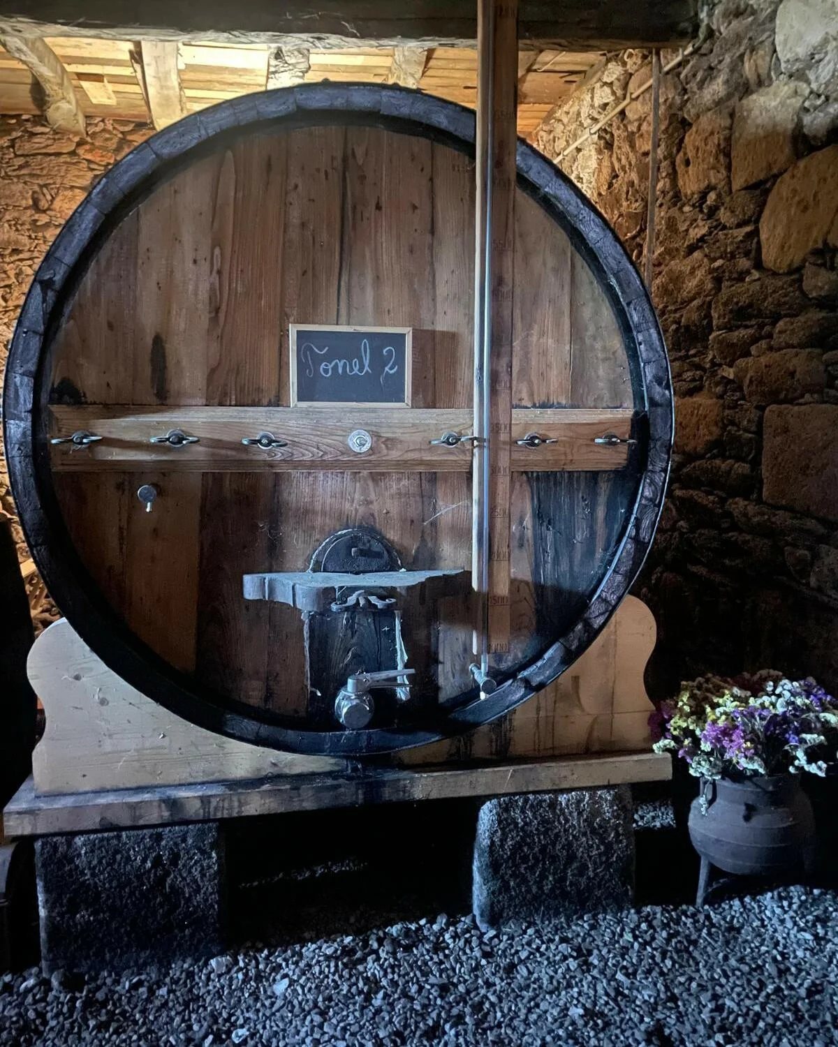 Quinta das Sequeirinhas – Visita, Prova & Petiscos