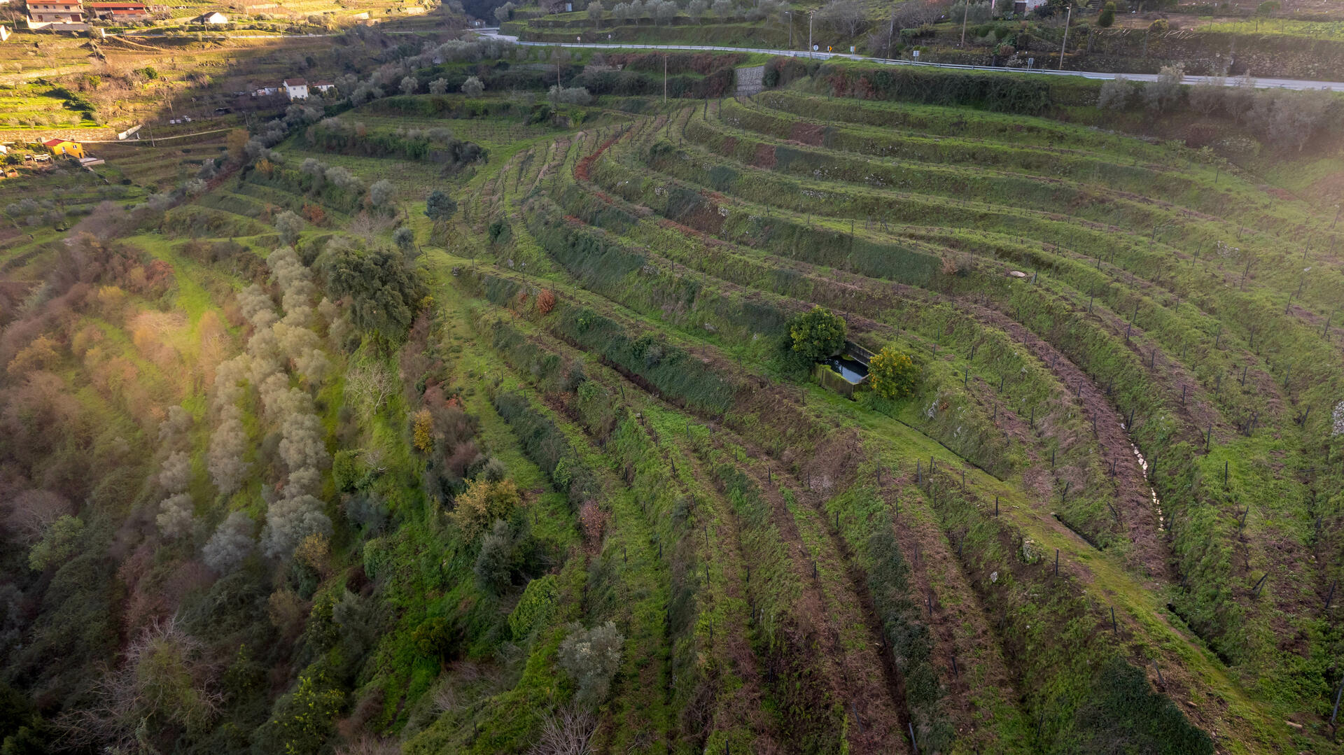 Quinta das Sequeirinhas – Visita & Prova Porto
