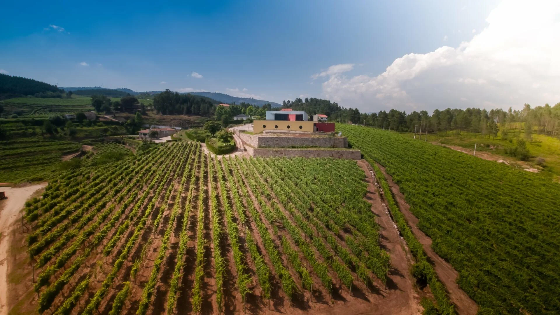 Quinta de Santa Cristina – Enólogo por 1 Dia