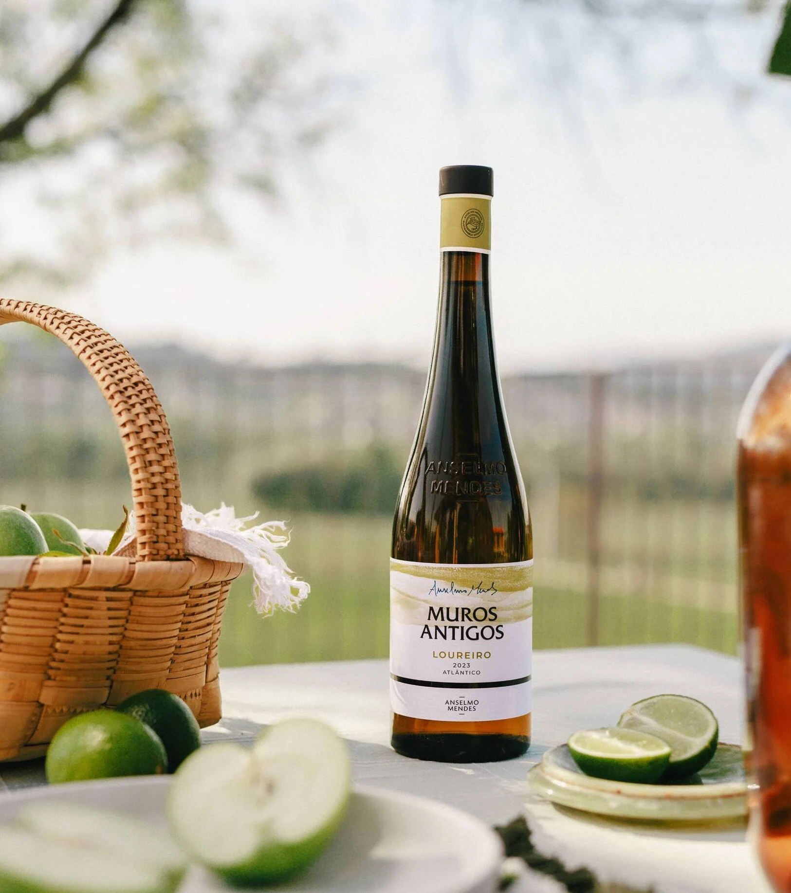 Quinta da Torre – Piquenique