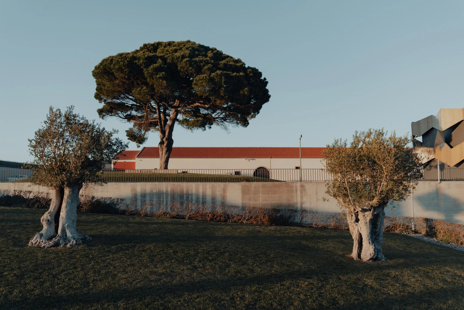 Quinta da Almiara – Classic Car Adventure