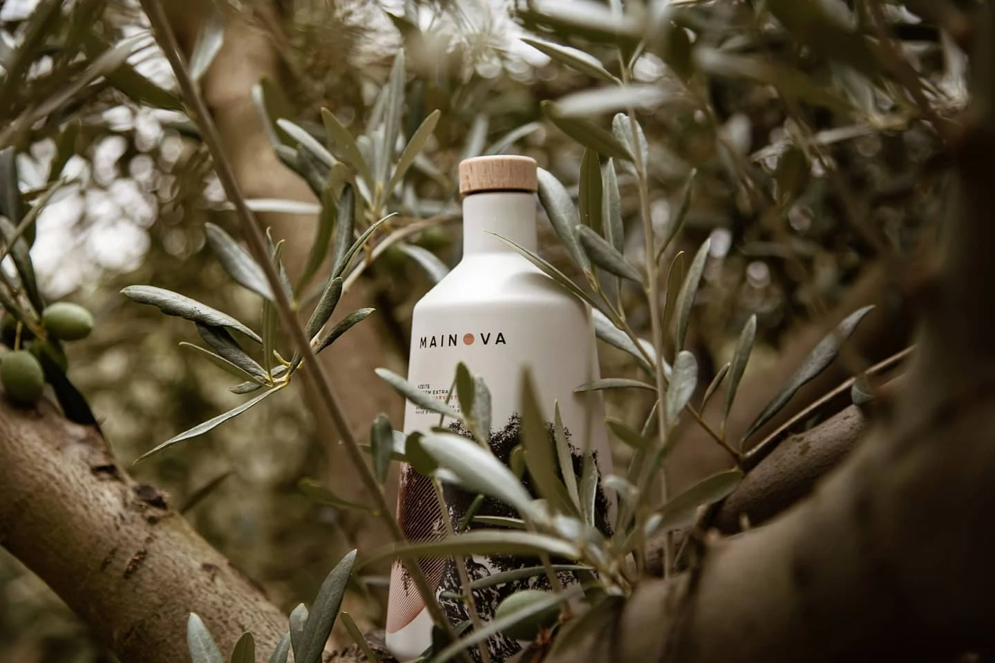 MAINOVA – Prova de Vinho & Azeite