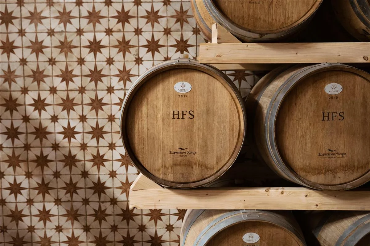 MAINOVA – Prova de Vinho & Azeite