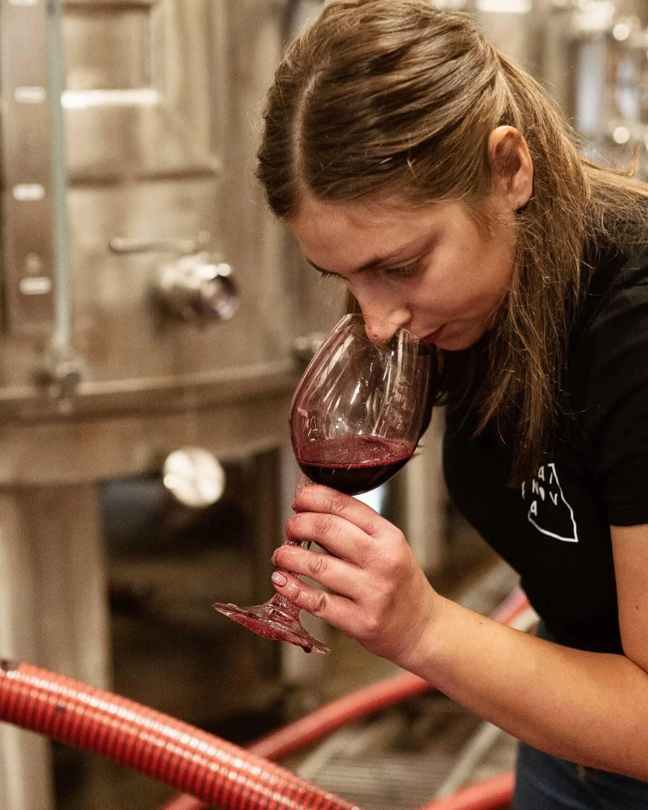 MAINOVA – Prova de Vinho & Azeite