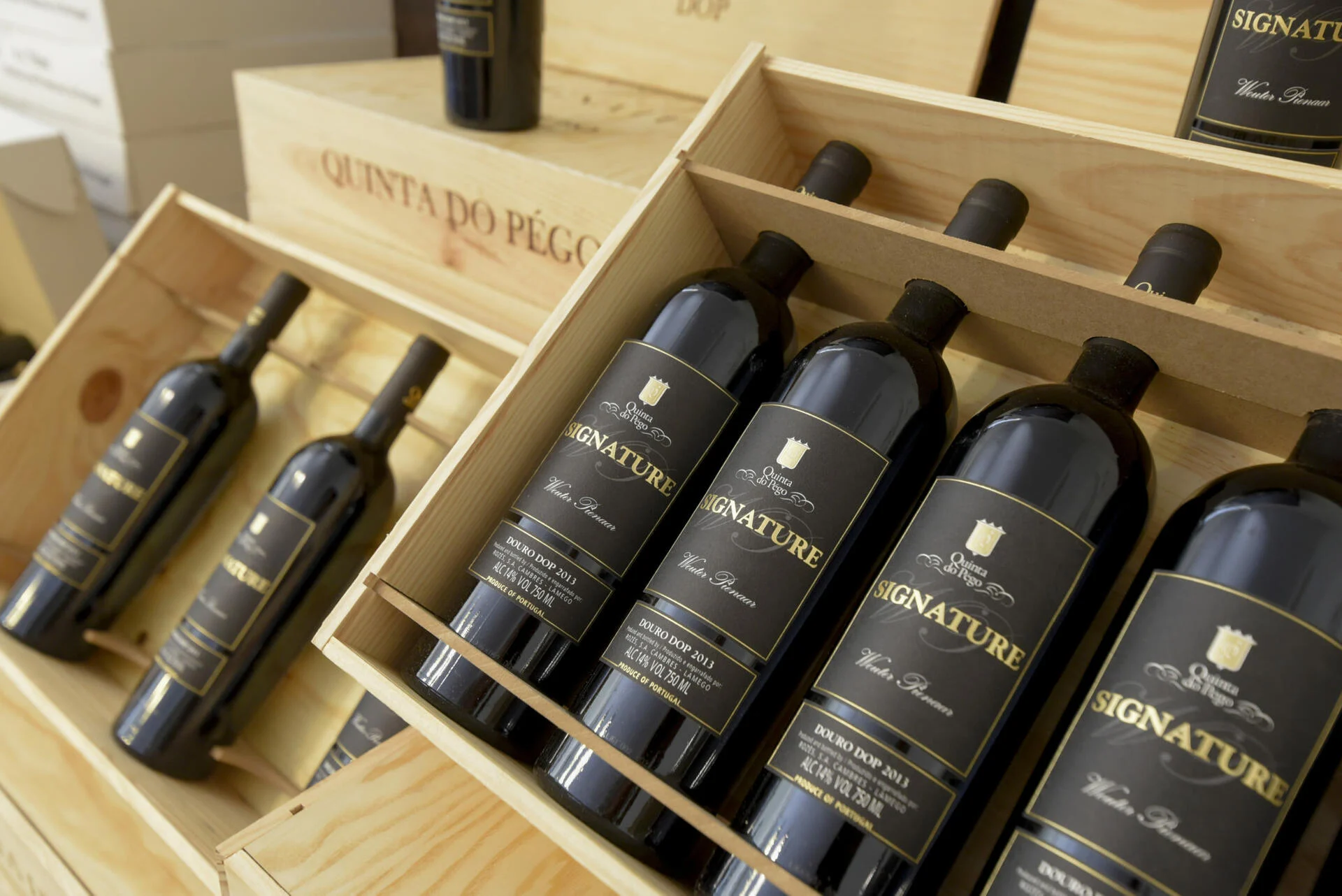 Quinta do Pégo – Prova Comentada