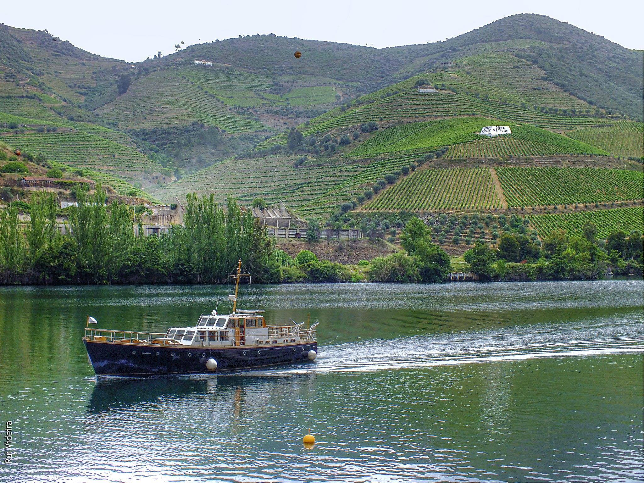 Um Dia no Douro