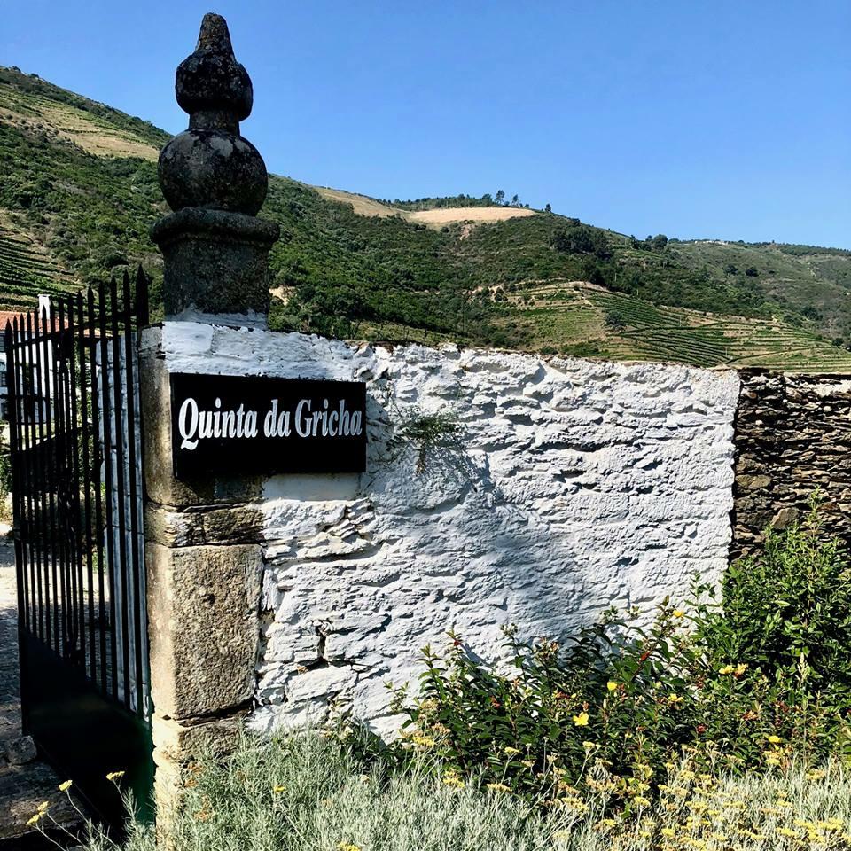 Quinta da Gricha – Atividade de Vindimas