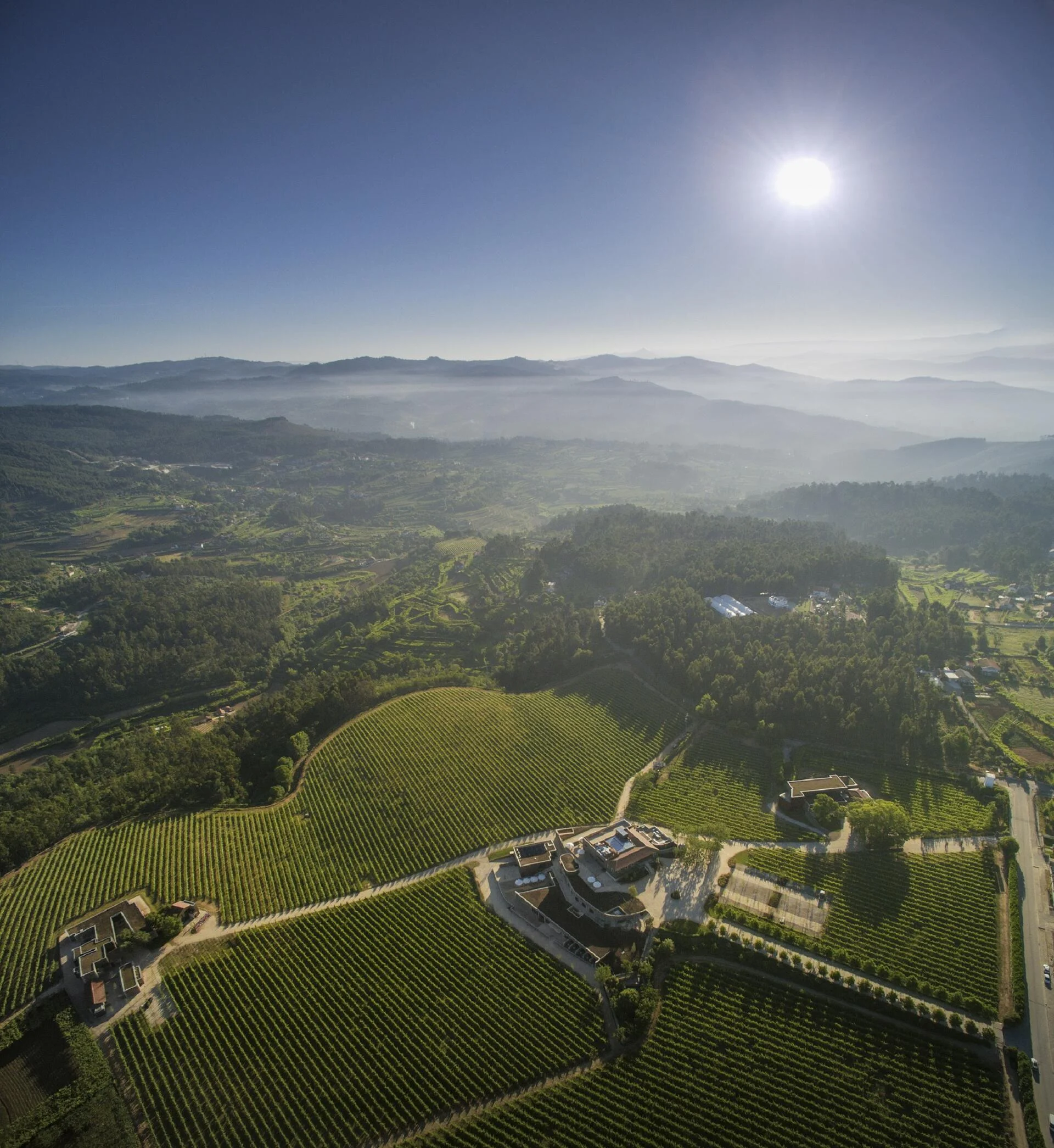 Monverde – Blending Experience & Refeição Vínica