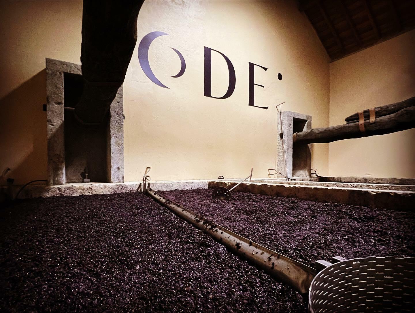 ODE Winery – Visita & Prova com Enóloga