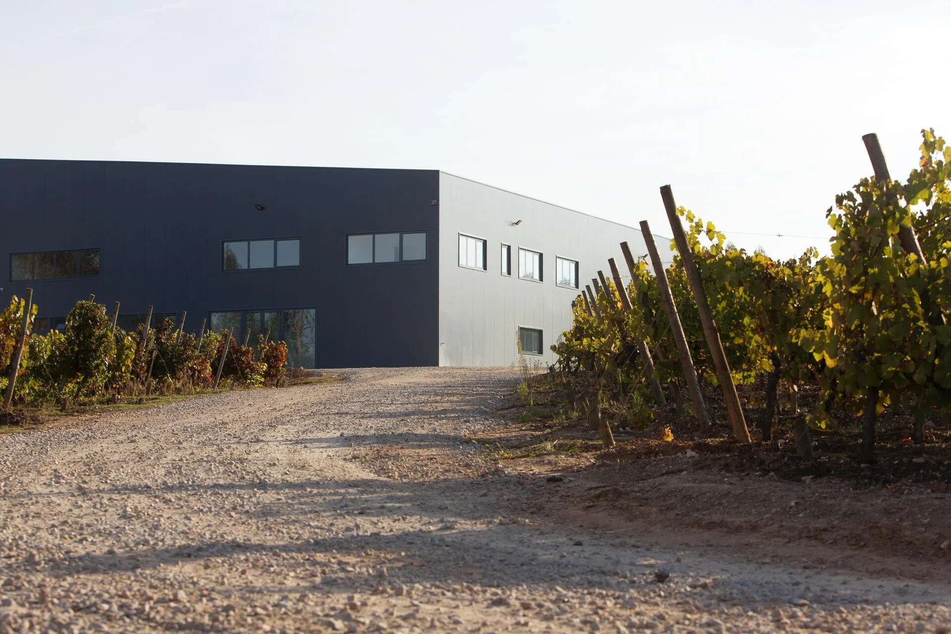 Boas Quintas – O Meu Vinho