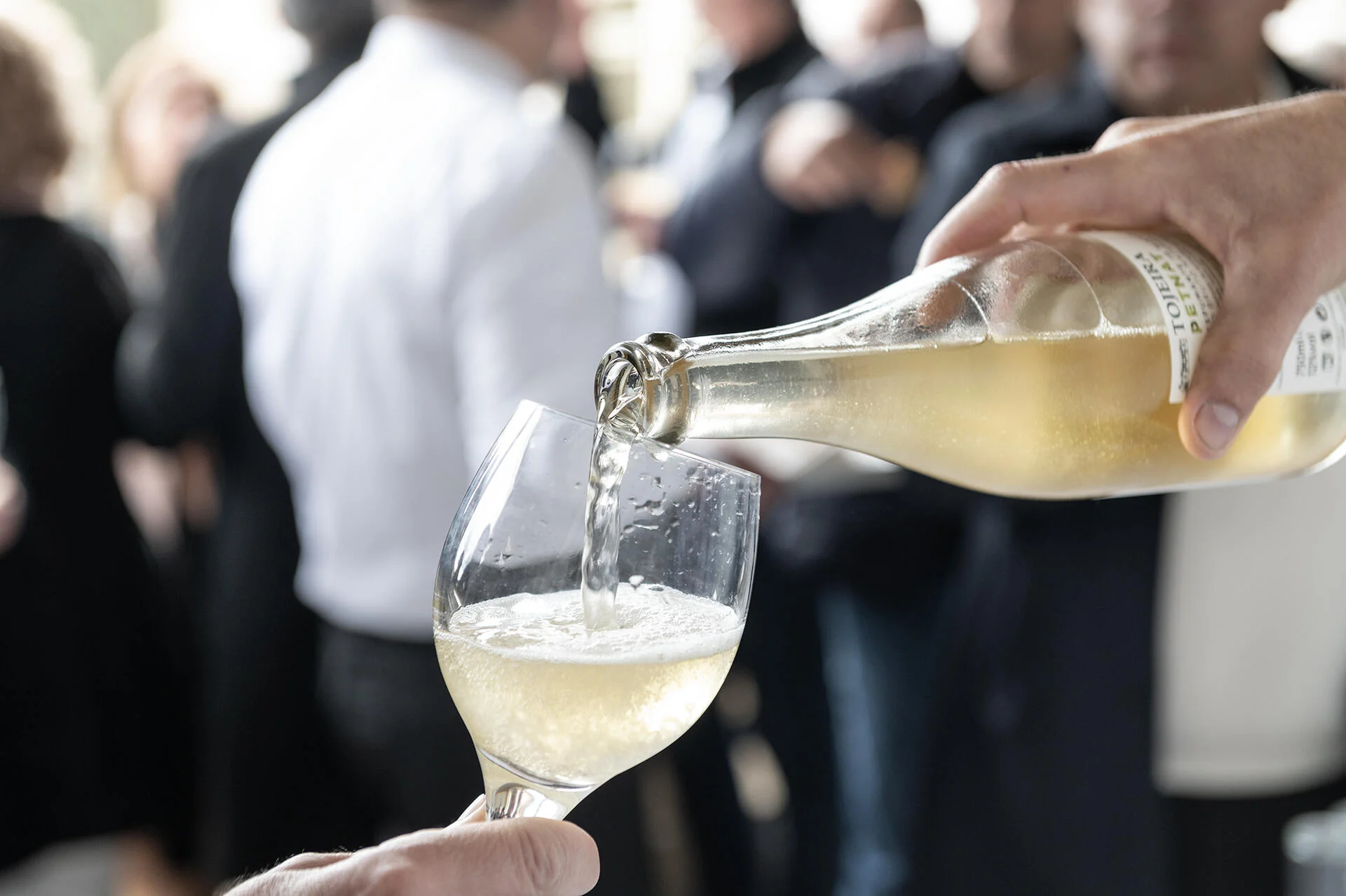 Casa da Tojeira – Visita & Prova Clássica