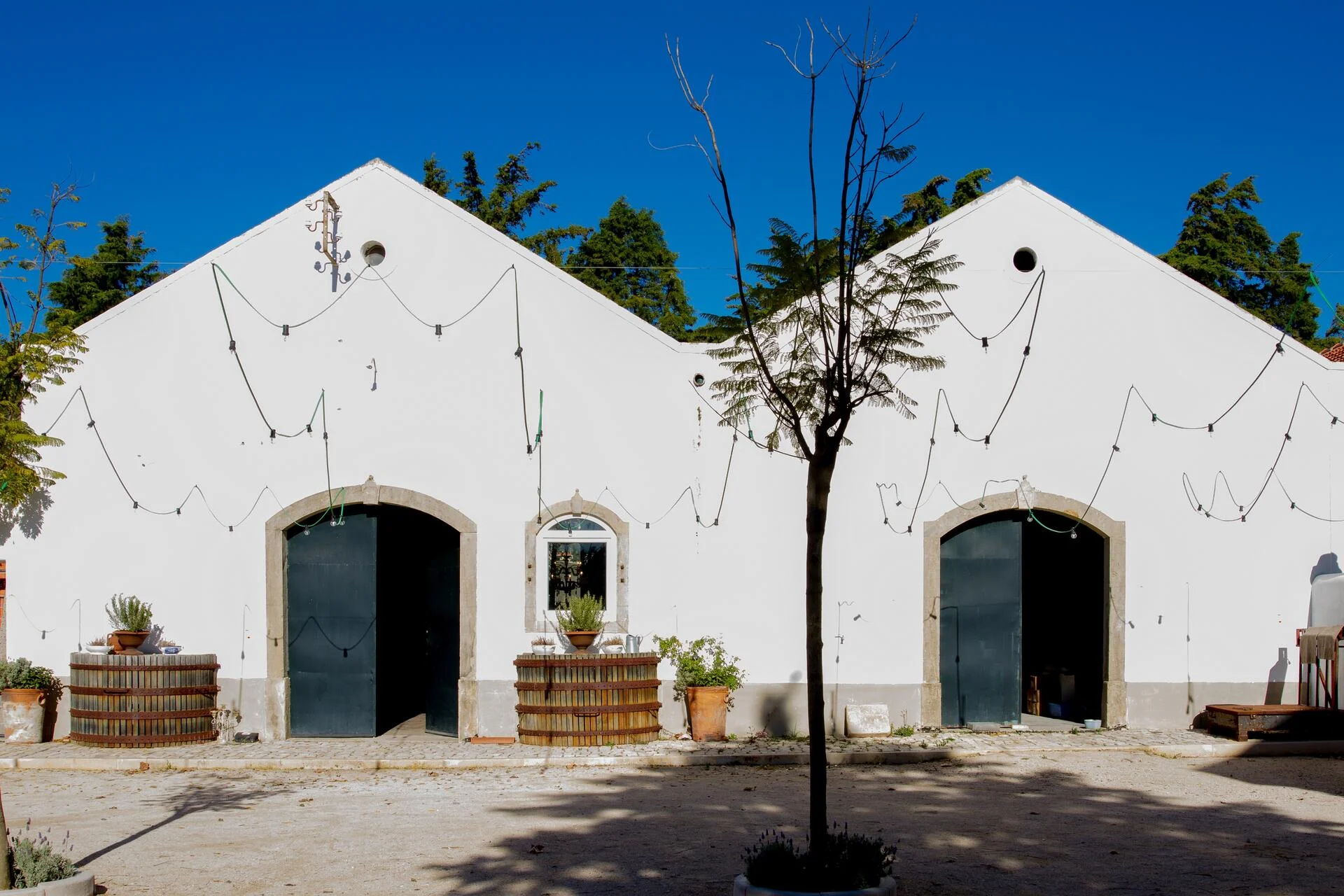 Lisboa Premium Wine Tour