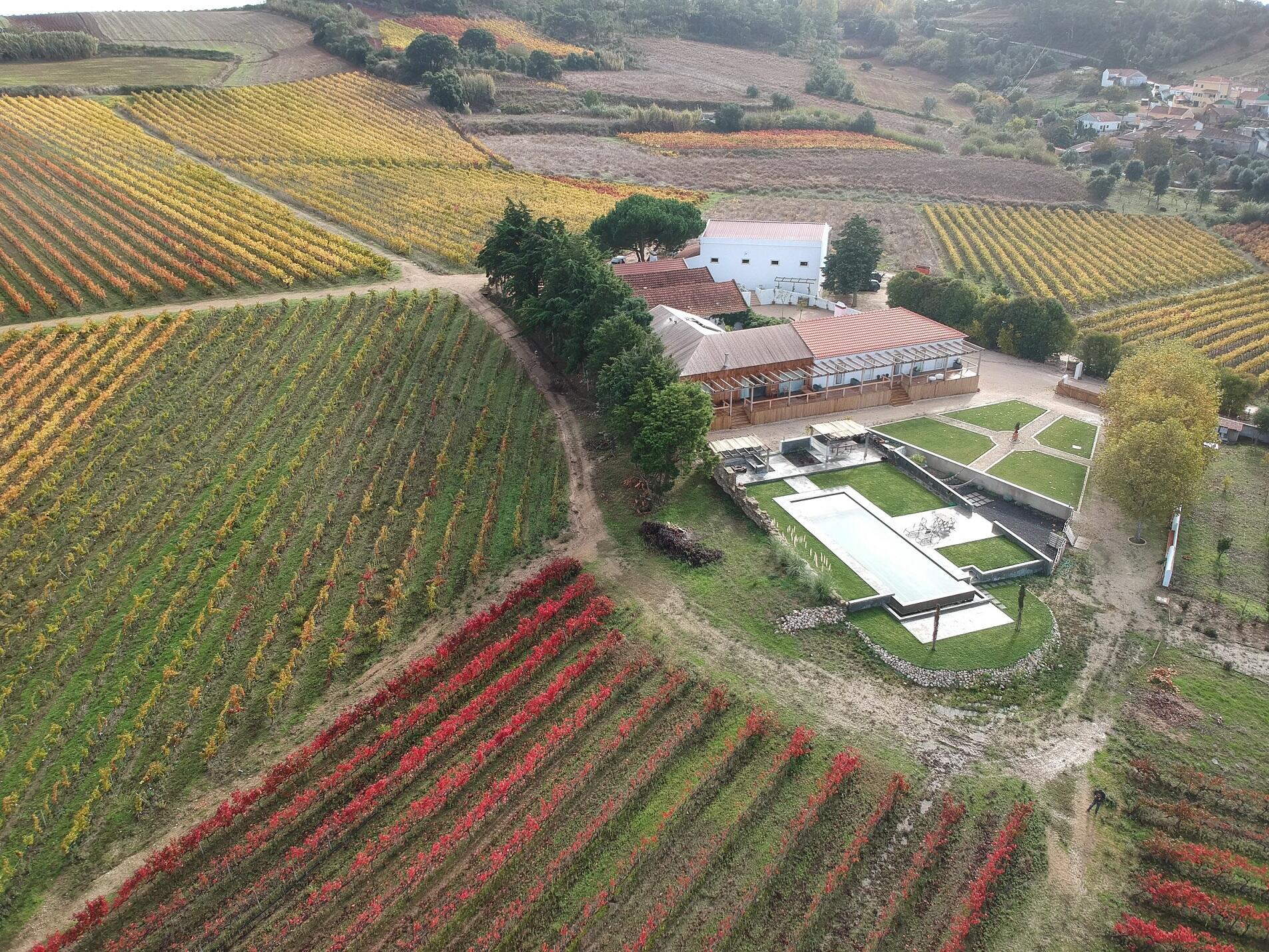 Lisboa Premium Wine Tour