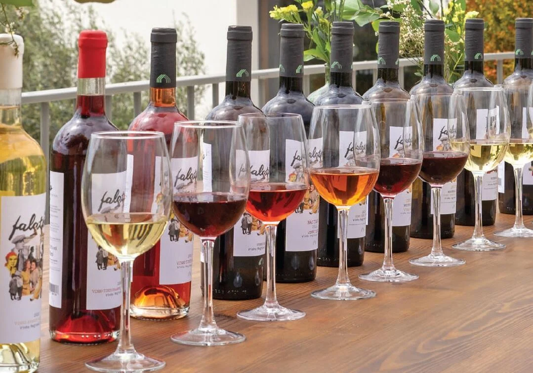 Lisboa Premium Wine Tour