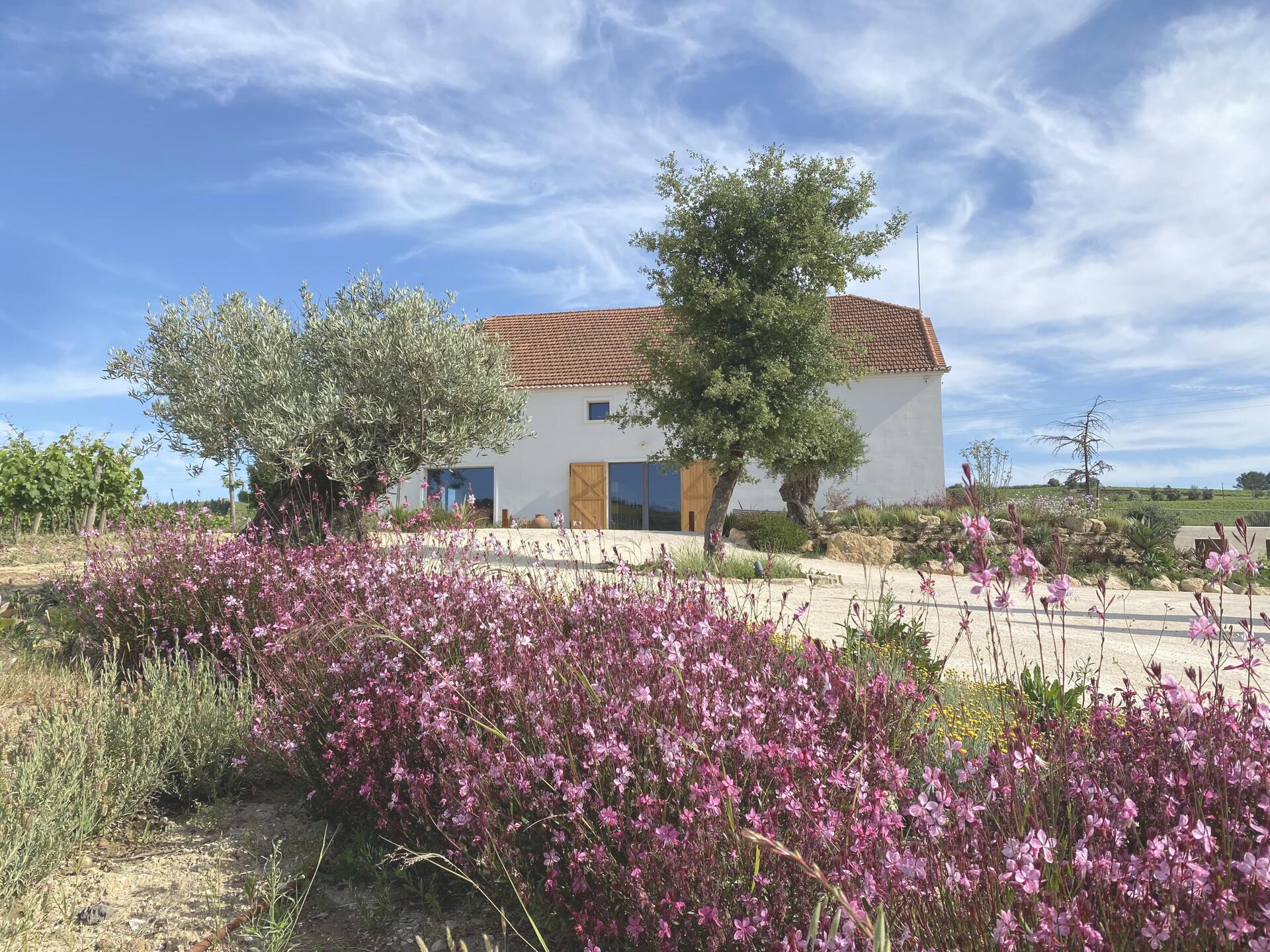 Lisboa Premium Wine Tour