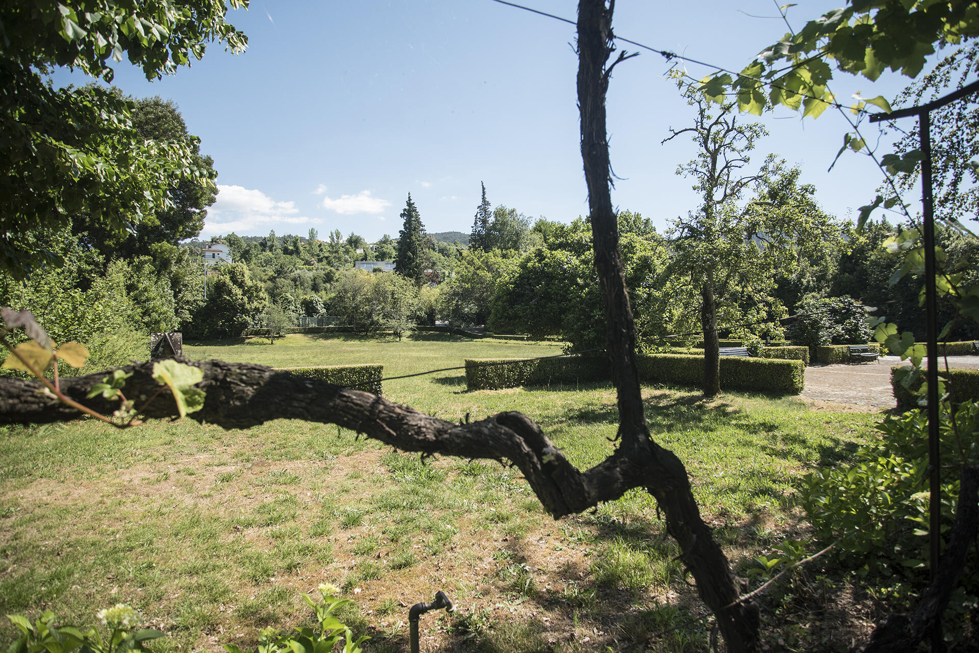 Casa da Tojeira – Visita & Prova Premium