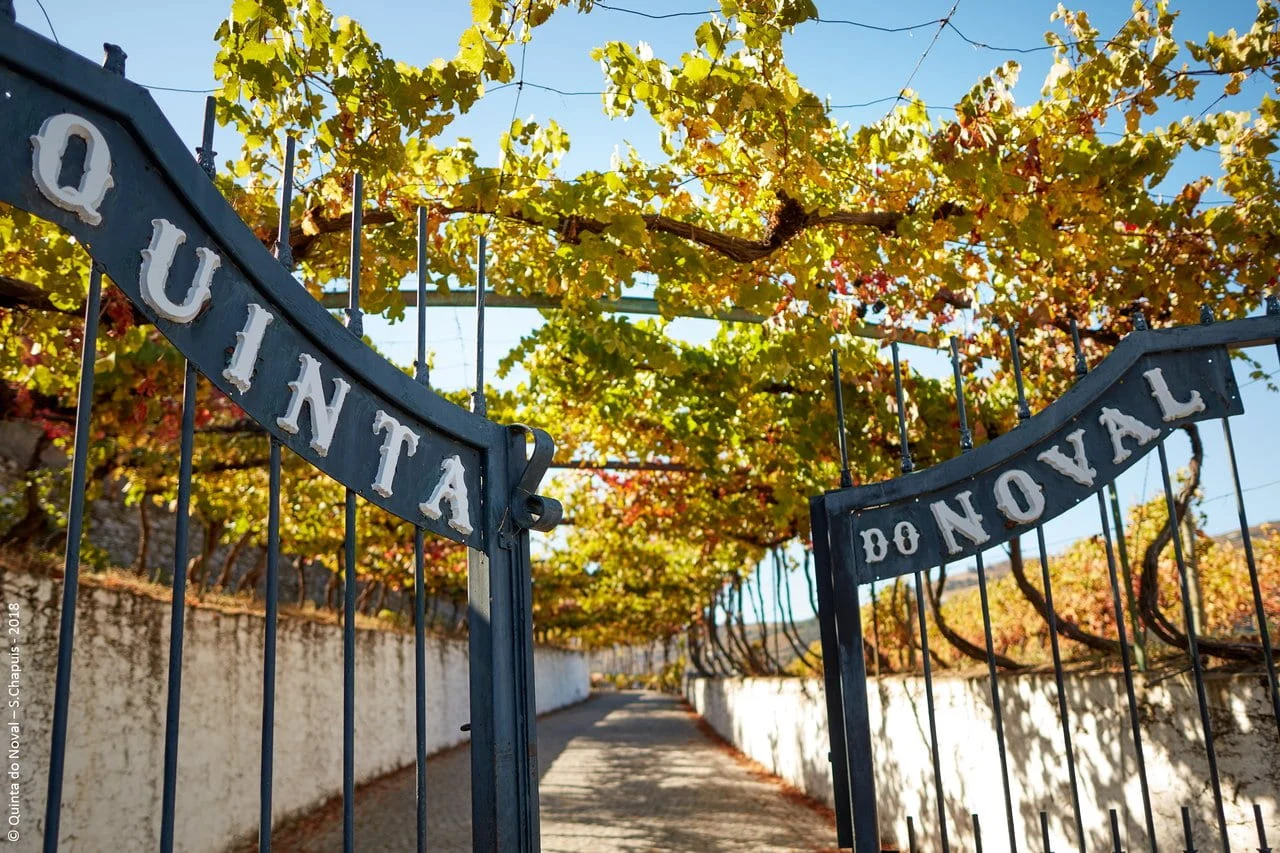 Quinta do Noval – Visita & Prova Monocastas