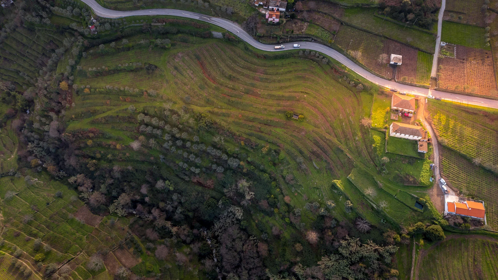 Quinta das Sequeirinhas – Visita, Prova & Petiscos