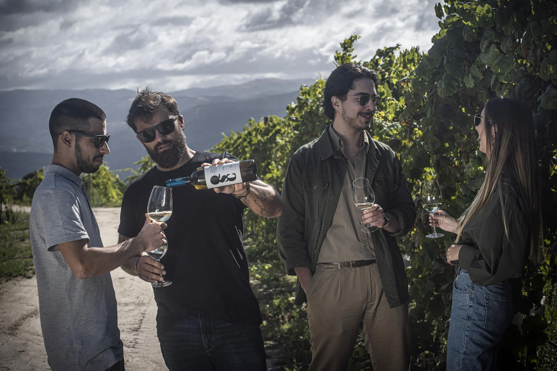 Quinta de Santa Cristina – Wine & Vine Planting