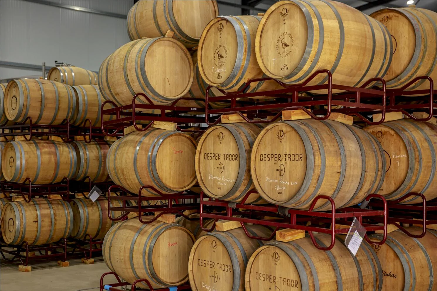 Quinta da Penina – Prova Ouro