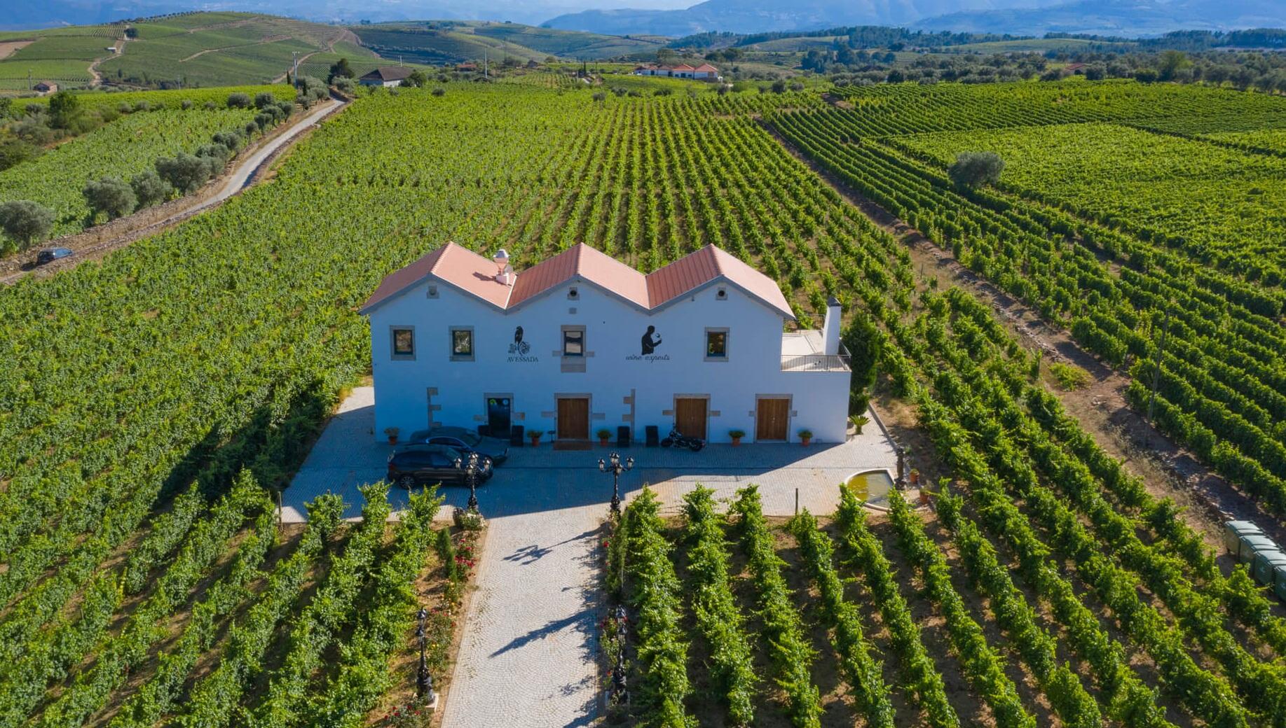 Tour de Vindimas no Douro