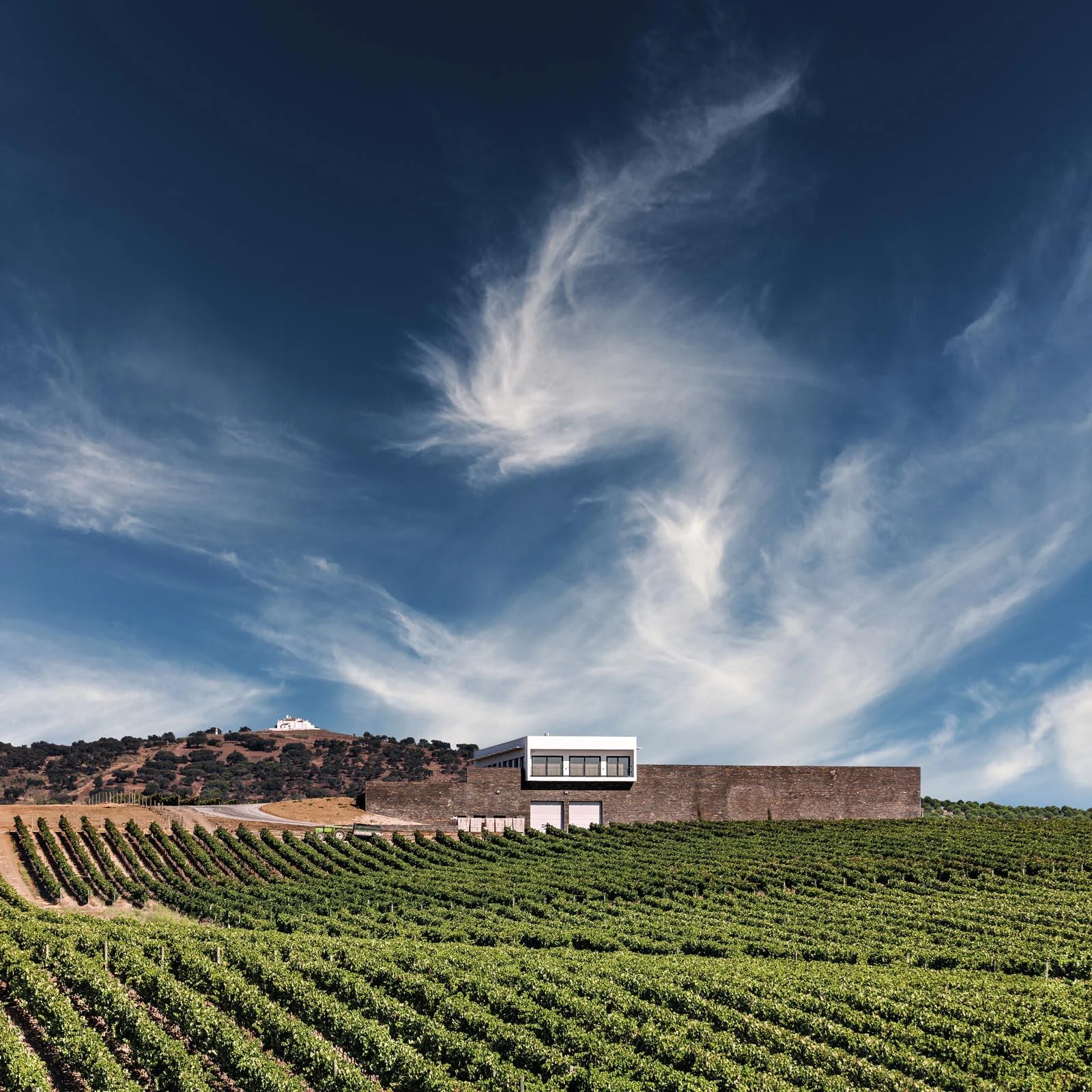 Ribafreixo Wines – Visita & Prova Clássica