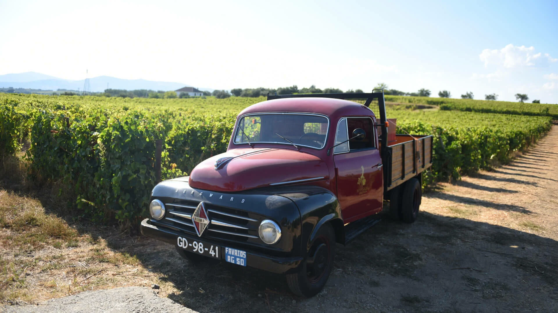 Tour de Vindimas no Douro