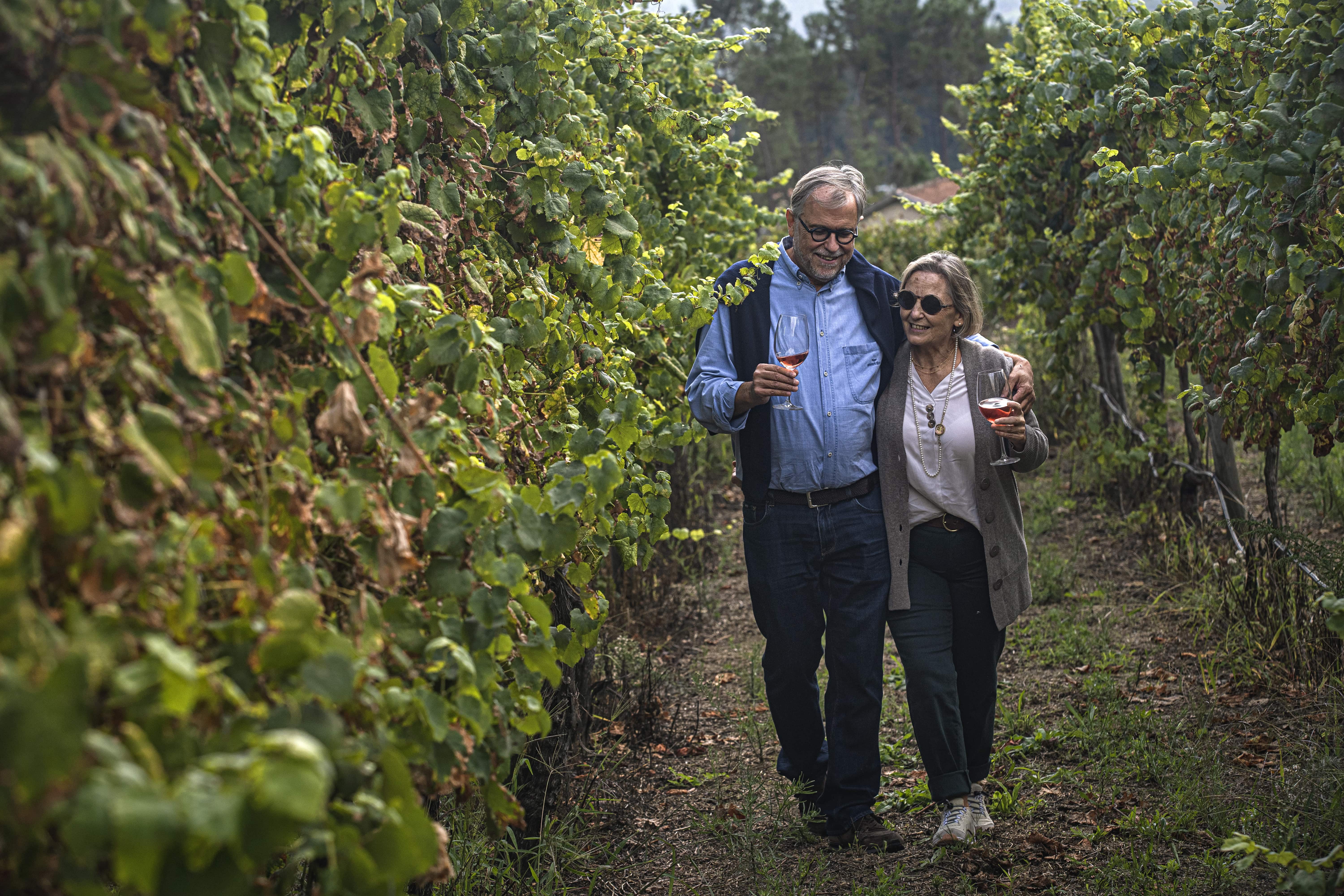 Quinta de Santa Cristina – Prova Seleção