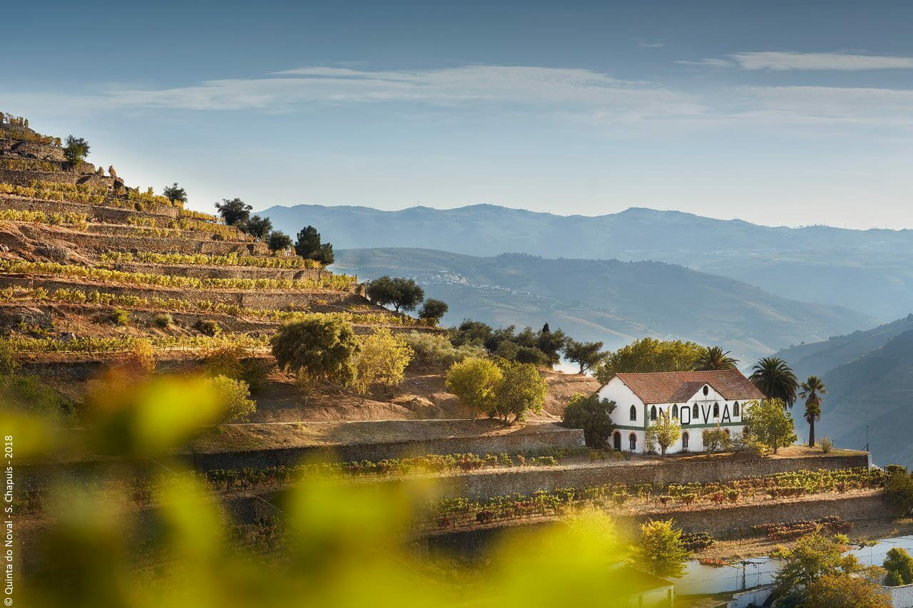 Quinta do Noval – Visita & Prova Premium