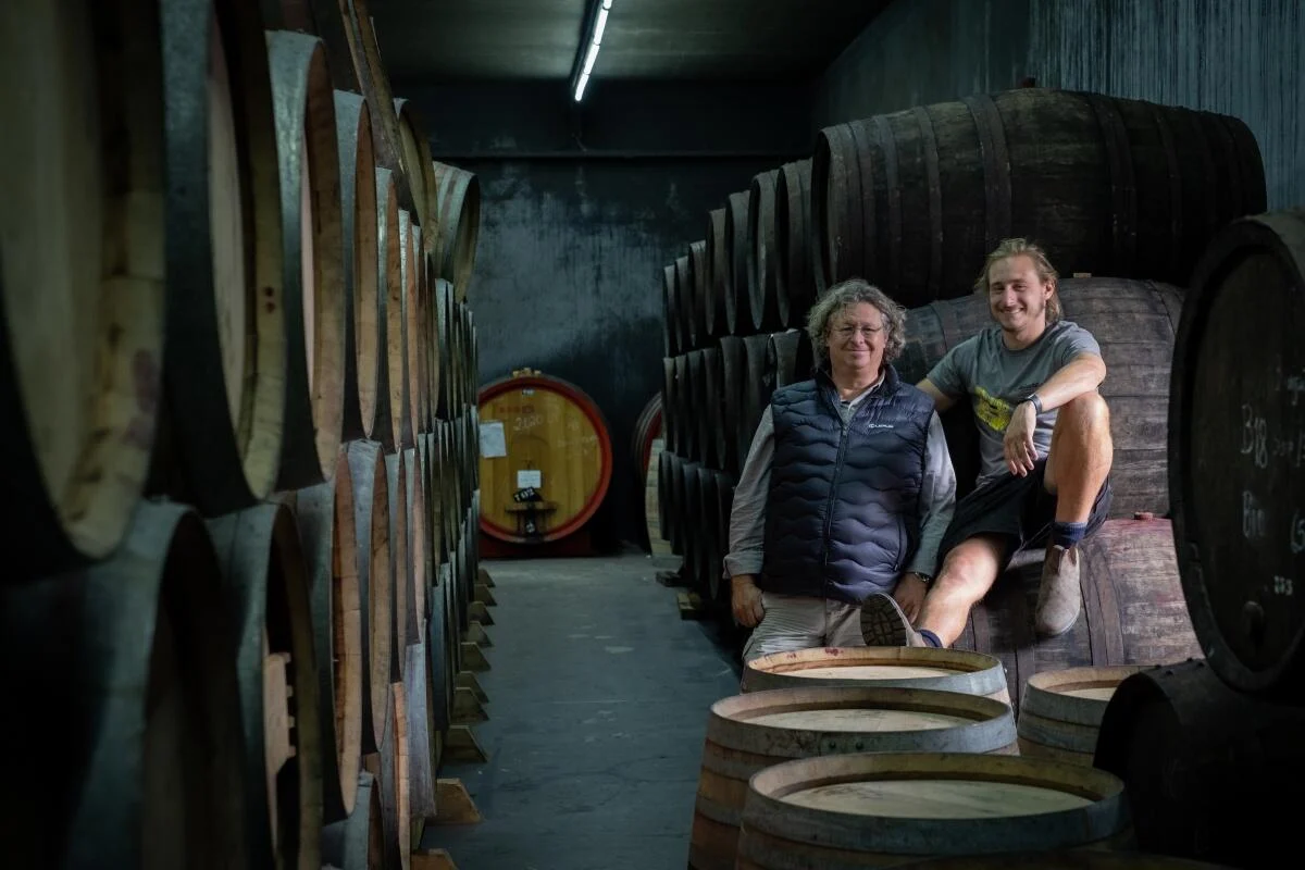 Quinta de Nápoles – Visita, Prova & Almoço