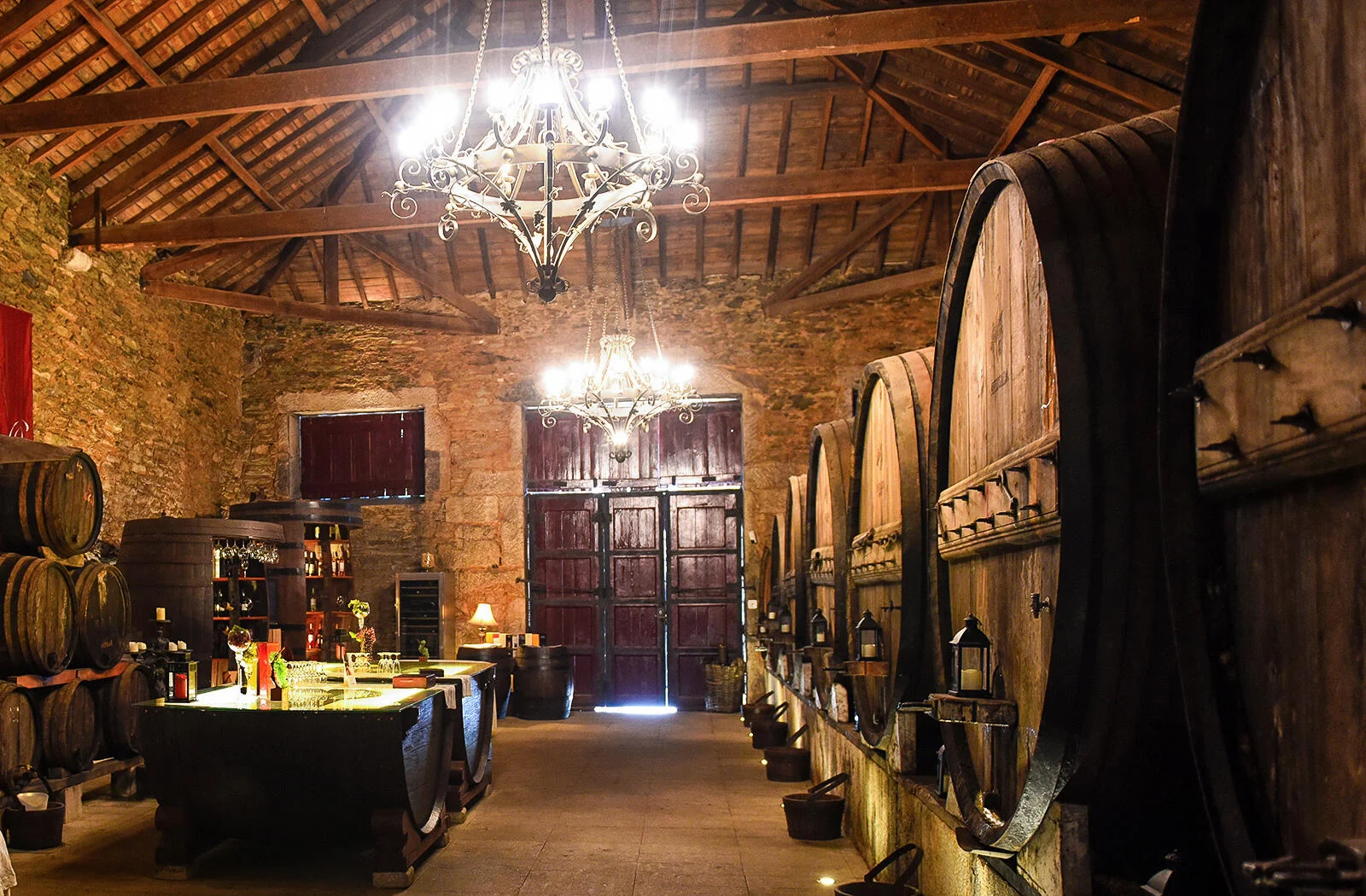 Tour de Vindimas no Douro